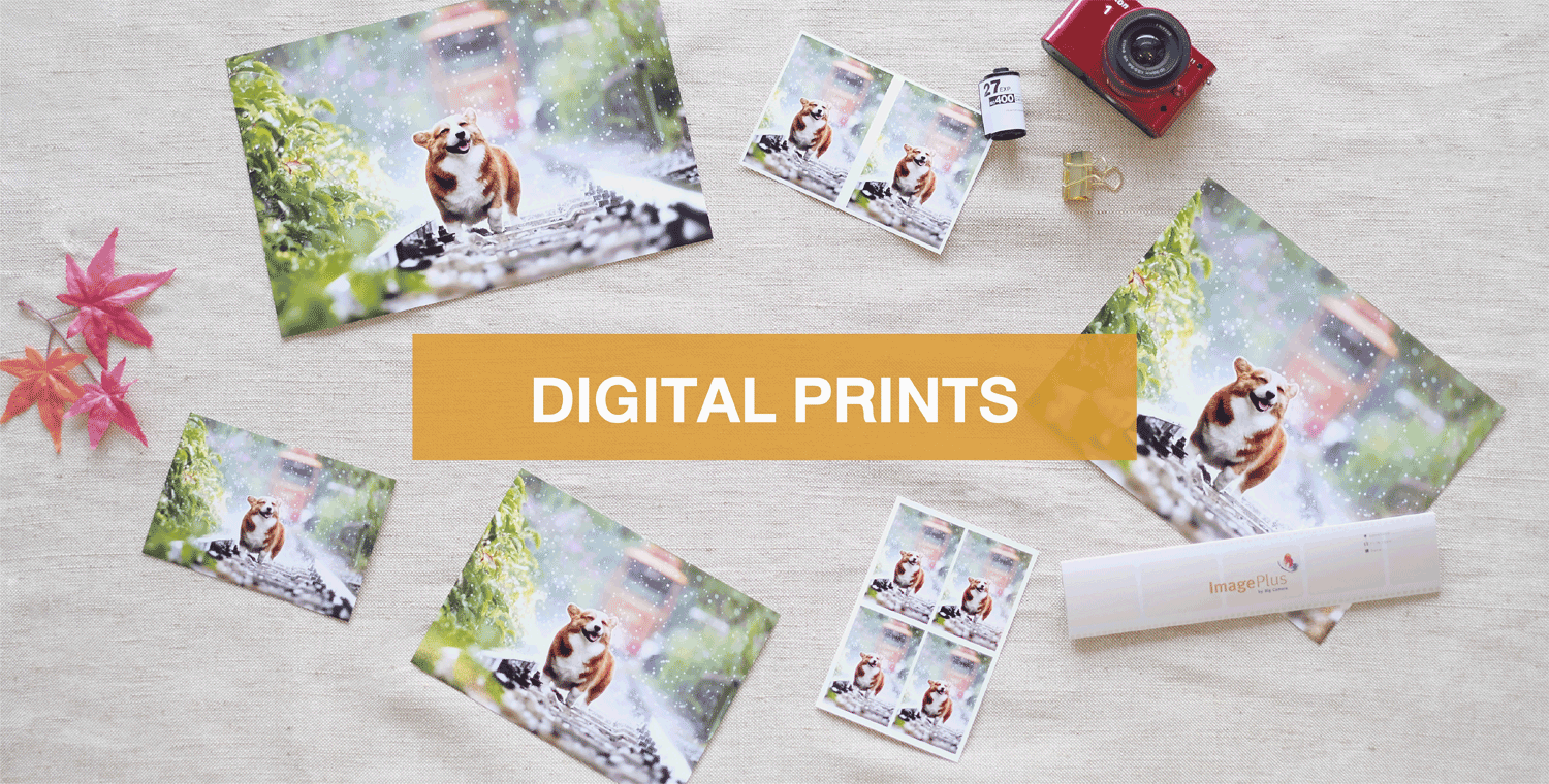 Digital Prints 4P