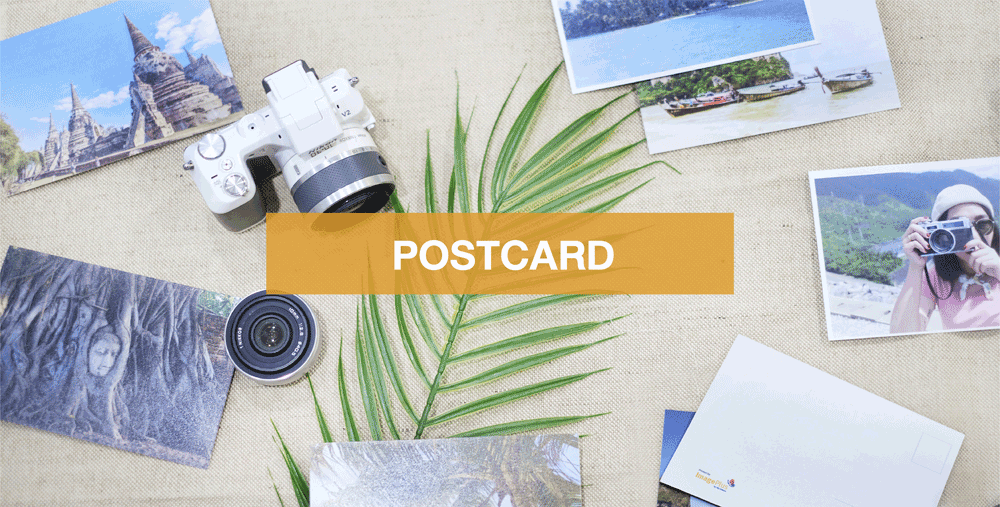 Postcard, White Border, Pack of 30