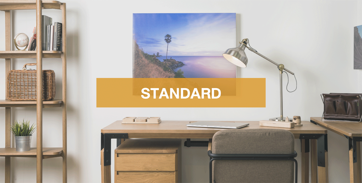 Canvas, Standard 12X18
