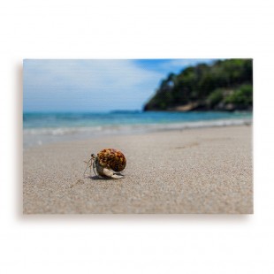 Canvas 12x18 นิ้ว
