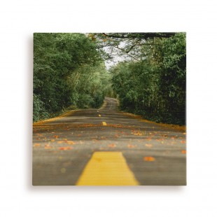Canvas 16x16 นิ้ว