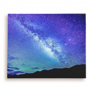 Canvas 20x24 นิ้ว